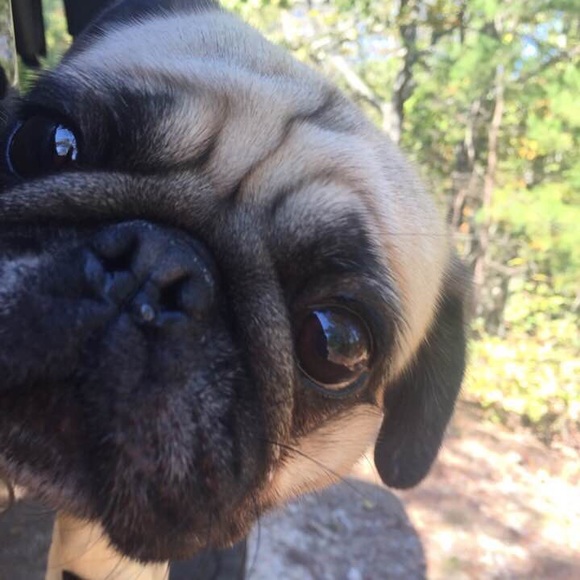 My sweet family - Picture 1 of 8